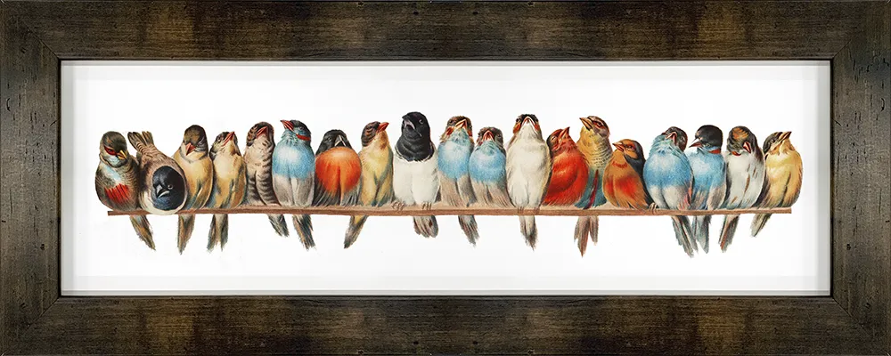 Birds on a Branch