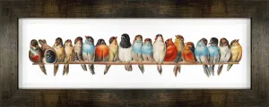 Birds on a Branch