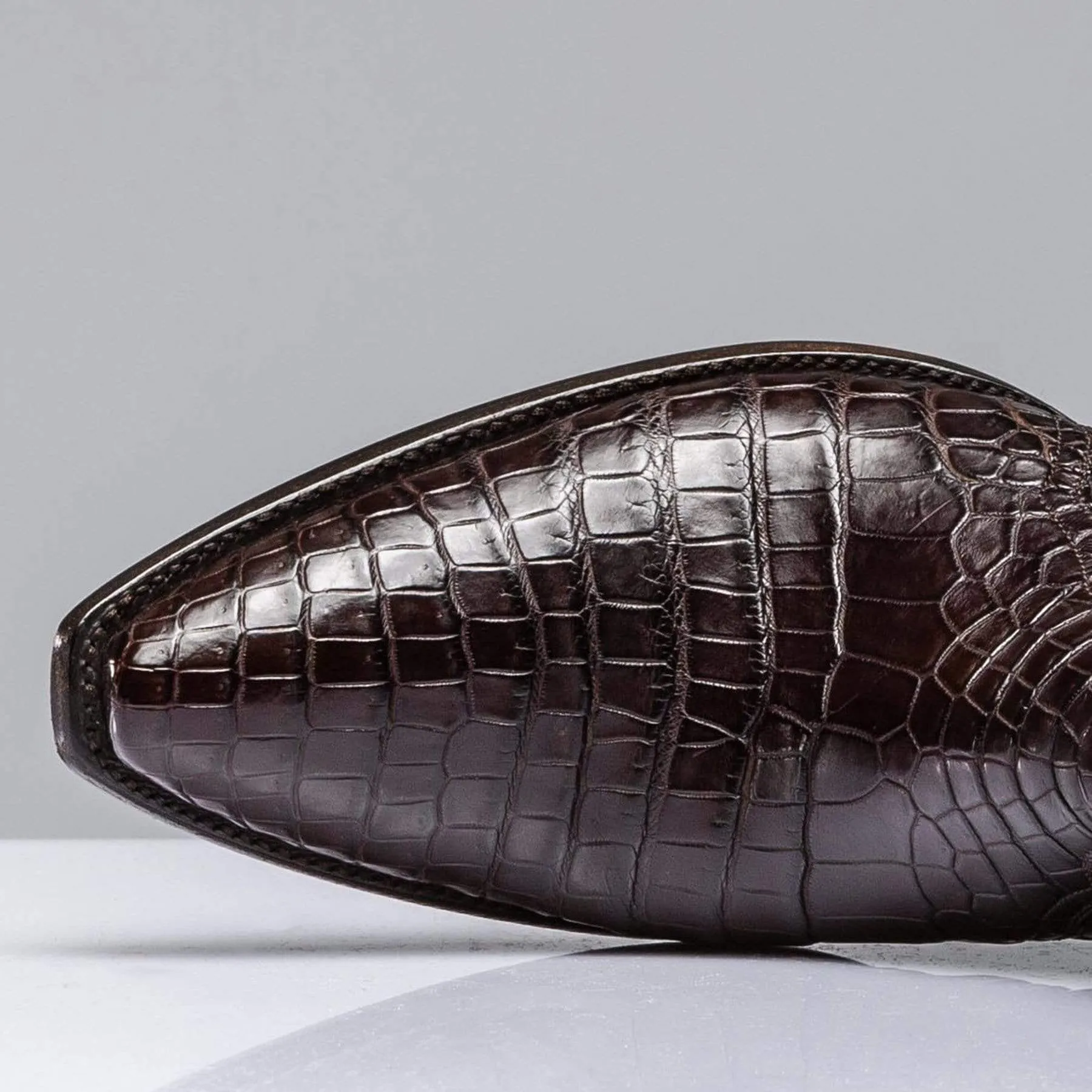 Chocolate Crocodile Zorro