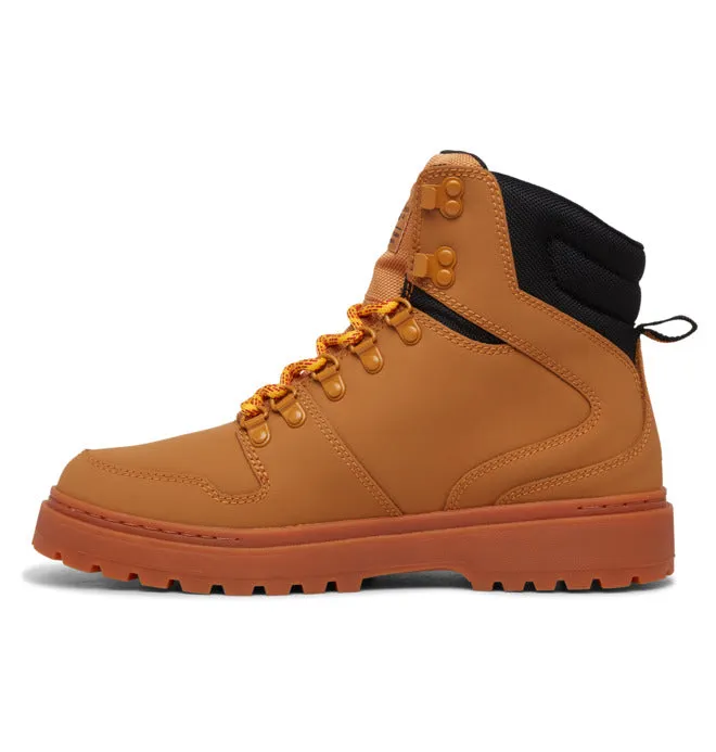 DC Men's Peary Lace Winter Boots
