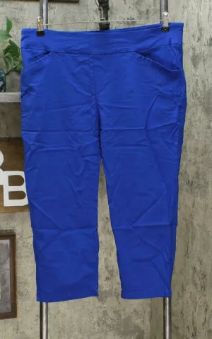 Nina Leonard Women's Plus Size Straight Leg Cropped Pants Deep Sea 2X