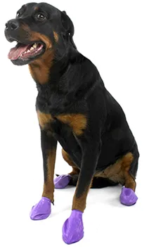 PawZ Disposable Dog Boots, Large
