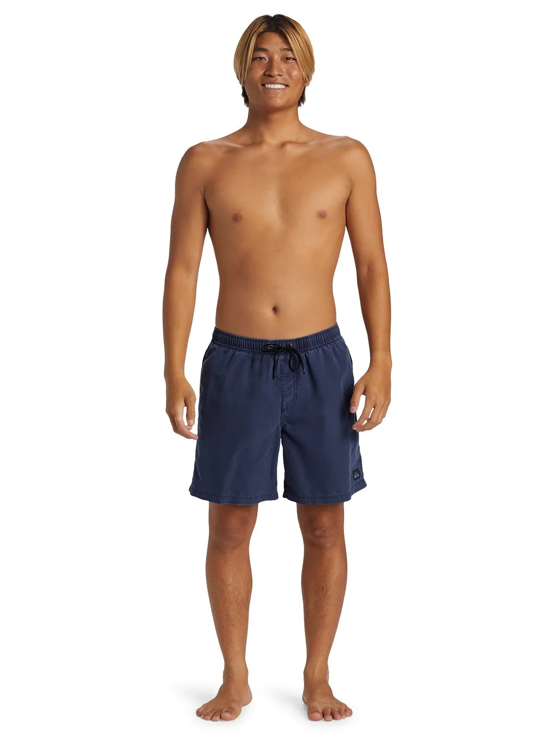Quiksilver Men's Everyday Surfwash 17" Volley